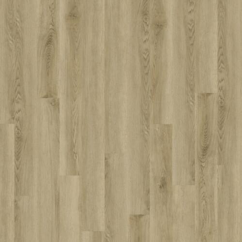 Century Summer Oak Swatch Scaled 1