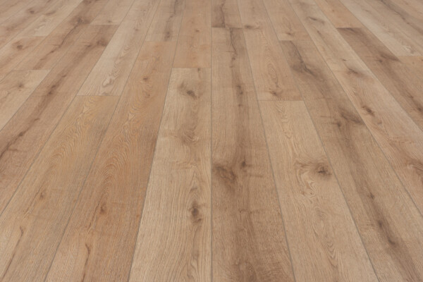 Concorde Oak Loyal Friend - Image 2