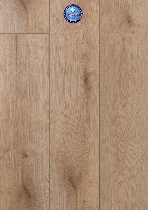 Concorde Oak Loyal Friend