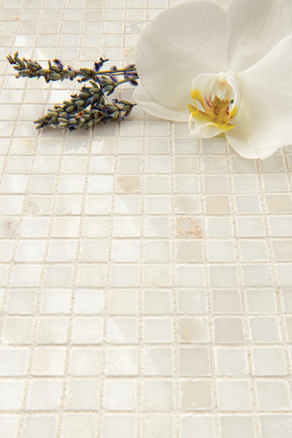 grid 1cm studio line – cloud nine