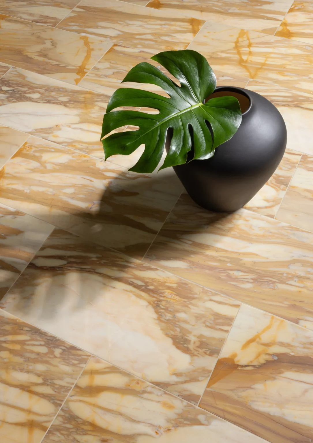 giallo siena marble tile honed 12" x 24" x 3/8" stone aris edge