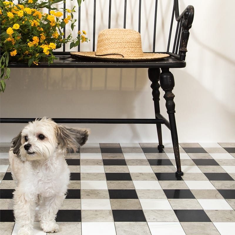 marble systems chester light, checkerboard tile flooring