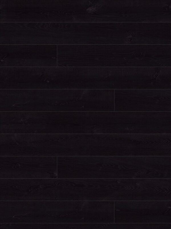 atelier collection nocturne