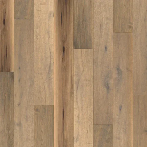 chateau collection bravone