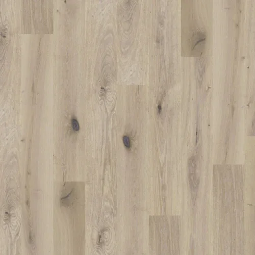 global winds collection chinook
