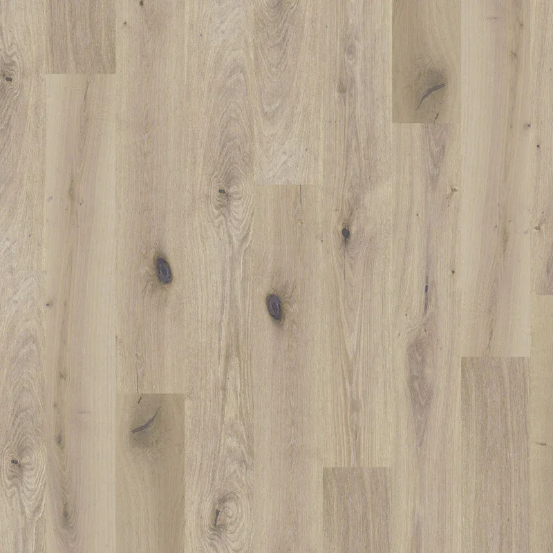 Global Winds Collection Chinook