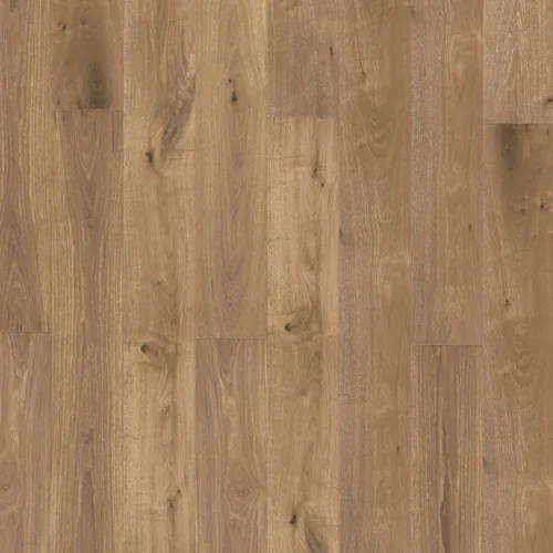 botteva collection lucra