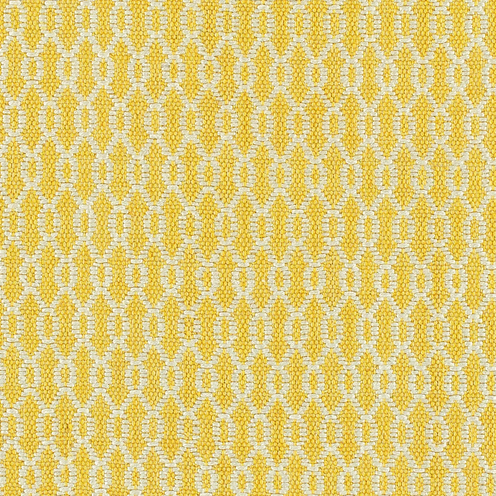 Home and Porch Ft. Frederica Yellow