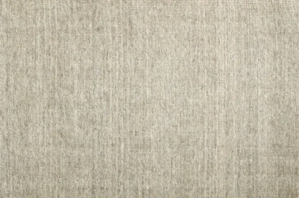 aubree fossil