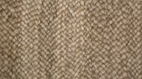 maximus khaki