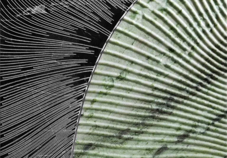 duo by alison rose nero/matcha decorative tile
